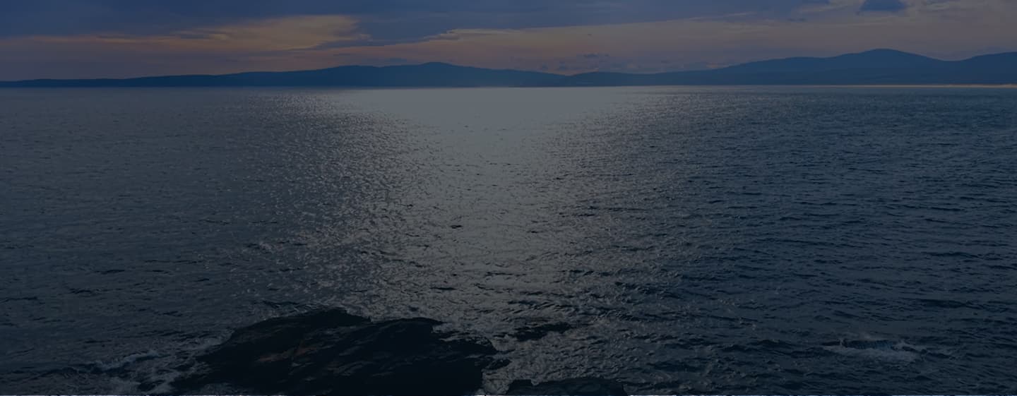 Longevity Header